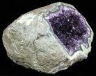 High Quality Amethyst Crystal Geode - Cyber Monday Deal #56753-2